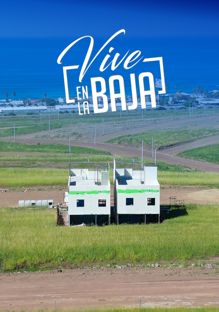 vive la baja